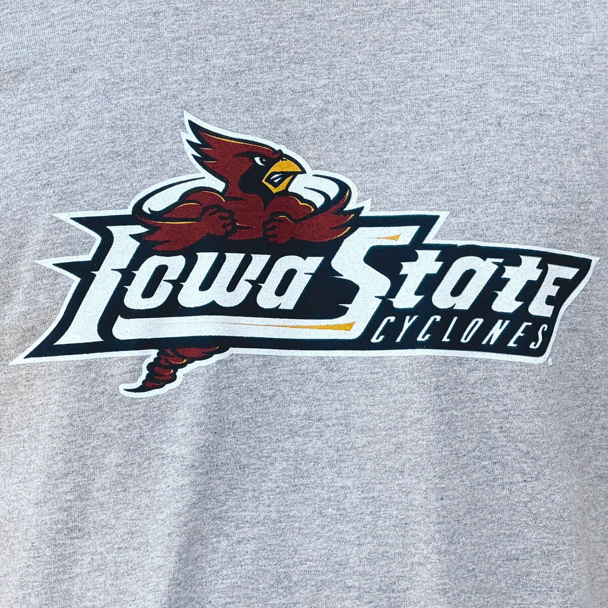 Champion Spirit Collection Wordmark Gray Short Sleeve T-Shirt design close up